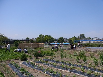 RIMG0002.jpg
