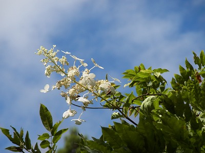 RIMG0002.jpg
