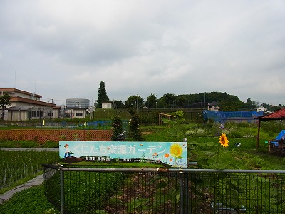 RIMG0002.jpg