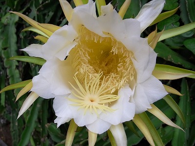 RIMG0004.jpg