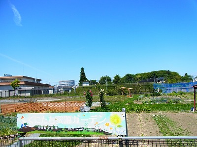 RIMG0007.jpg