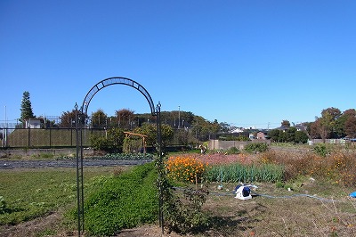 RIMG0007.jpg