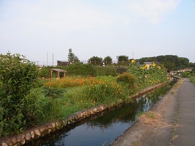 RIMG0008.jpg