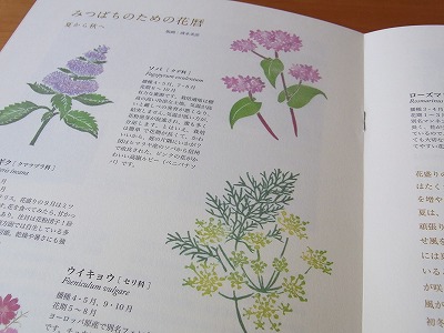 RIMG0009.jpg