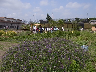 RIMG0010.jpg