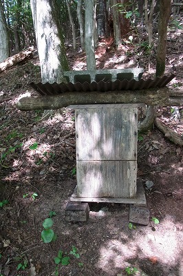 RIMG0013.jpg