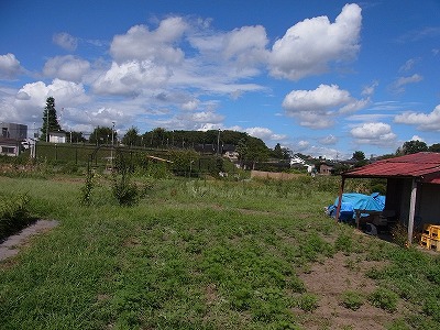 RIMG0013.jpg