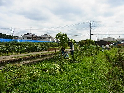 RIMG0015.jpg