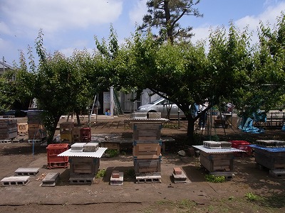 RIMG0016.jpg