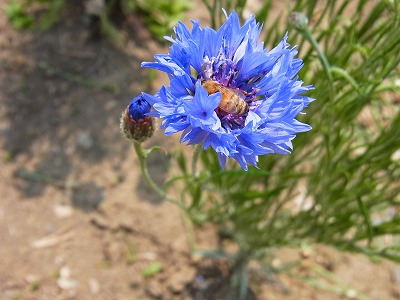 RIMG0019.jpg