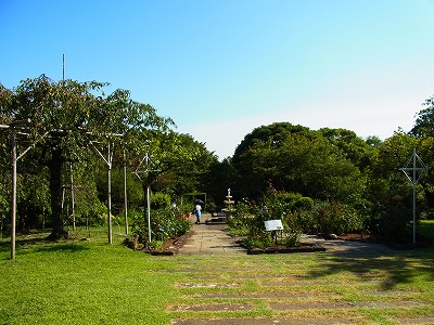 RIMG0019.jpg