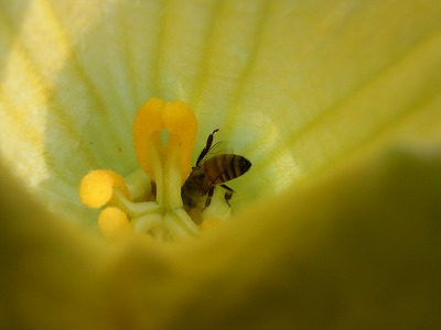 RIMG0020.jpg
