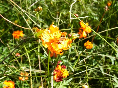 RIMG0021.jpg