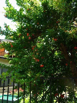 RIMG0022.jpg