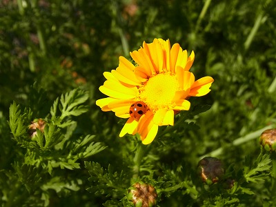 RIMG0025.jpg