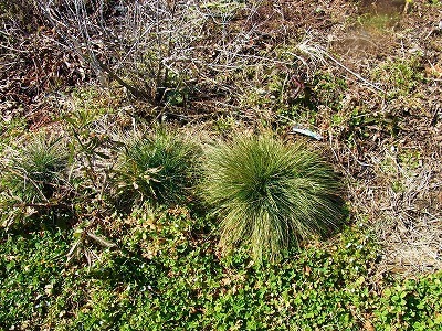 RIMG0027.jpg