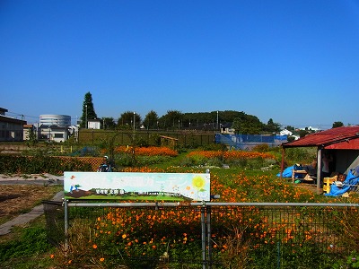 RIMG0028.jpg