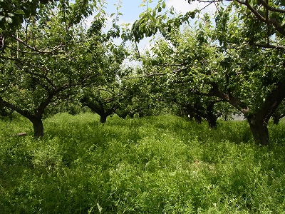 RIMG0030.jpg