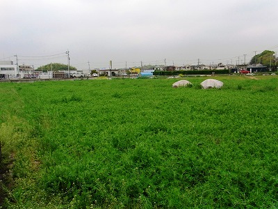RIMG0030.jpg