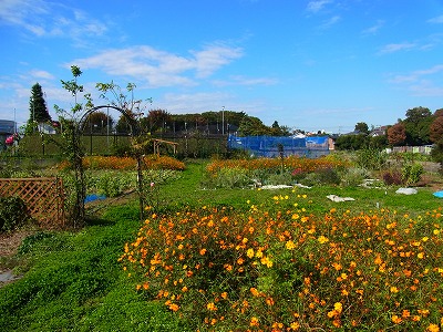 RIMG0035.jpg