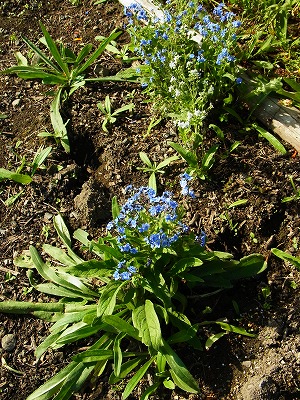 RIMG0041.jpg