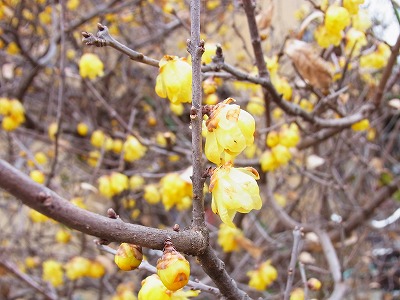 RIMG0042.jpg