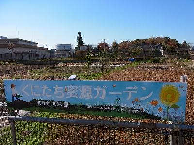 RIMG0043.jpg
