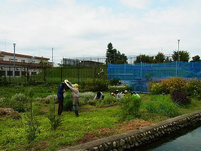 RIMG0043.jpg