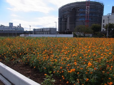 RIMG0044.jpg