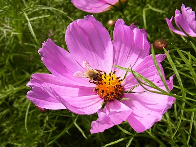 RIMG0045.jpg