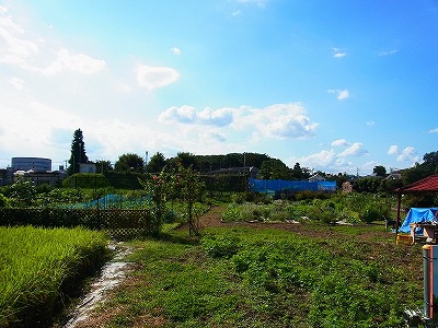 RIMG0045.jpg