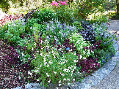 RIMG0046.jpg
