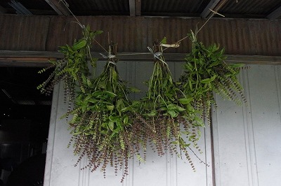 RIMG0046.jpg
