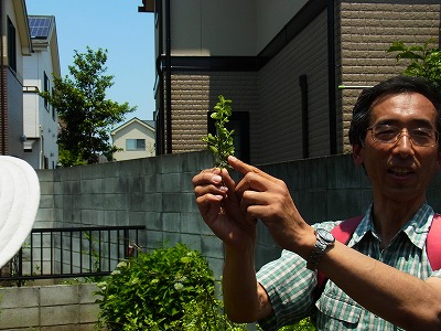 RIMG0047.jpg