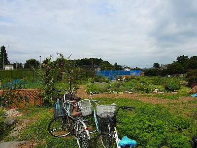 RIMG0047.jpg