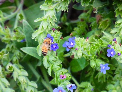 RIMG0049.jpg