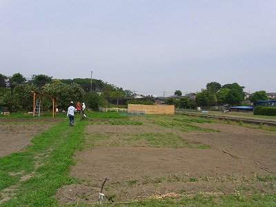 RIMG0049.jpg