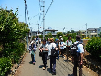 RIMG0050.jpg