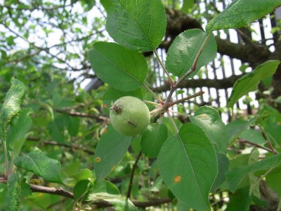 RIMG0050.jpg