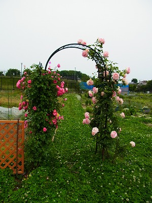 RIMG0051.jpg