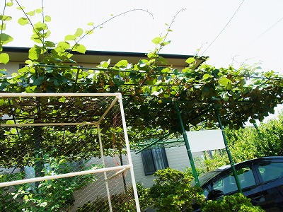 RIMG0052.jpg