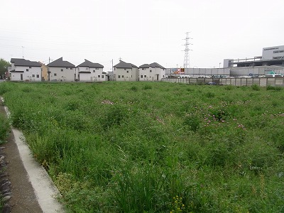 RIMG0052.jpg