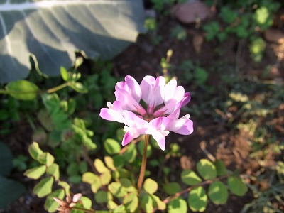 RIMG0053.jpg