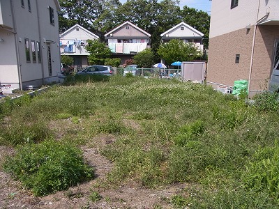 RIMG0054.jpg