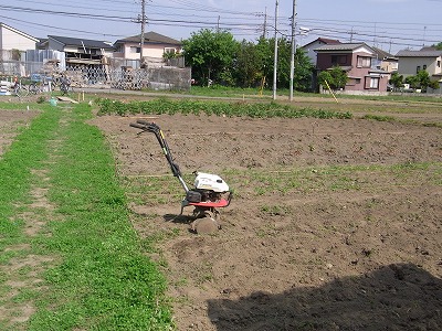RIMG0055.jpg