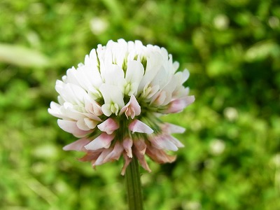 RIMG0055.jpg