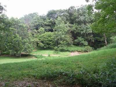 RIMG0056.jpg