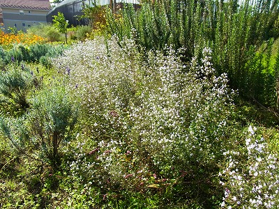 RIMG0058.jpg