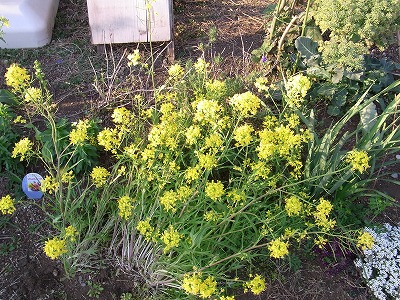RIMG0059.jpg