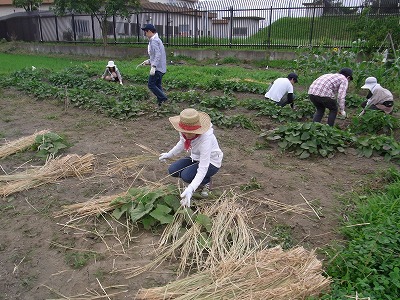 RIMG0060.jpg